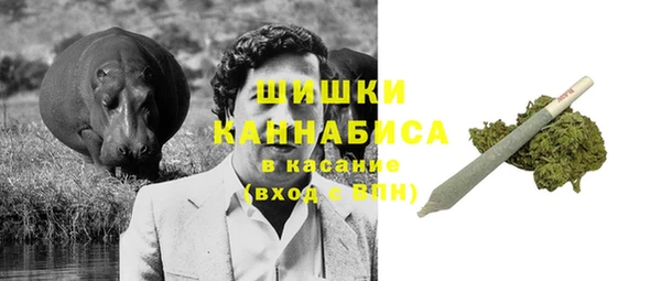 мяу мяу кристалл Богданович