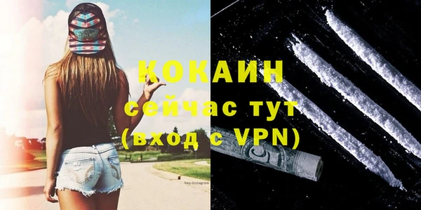 дурь Покачи