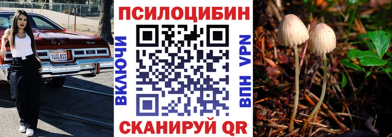Псилоцибиновые грибы прущие грибы  Купить закладки  Белёв 
